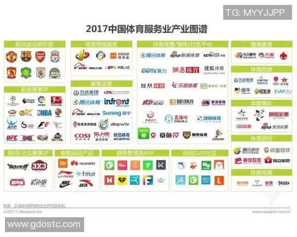 以职业联赛为核心打造多元化体育产业发展模式促进体育经济新动能升级