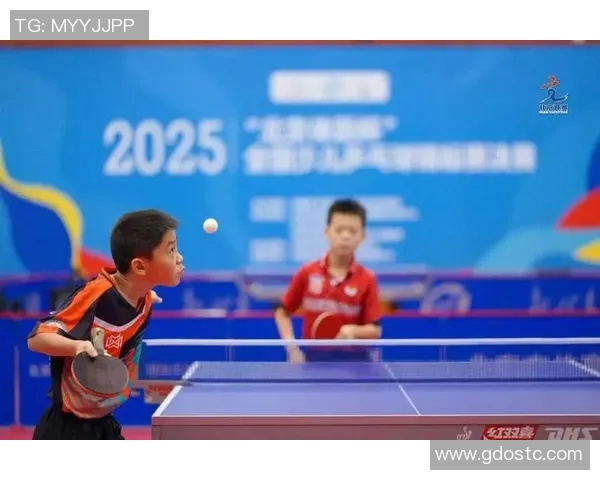 西安乒乓球队的节奏与激情探讨乒乓球运动的魅力与发展