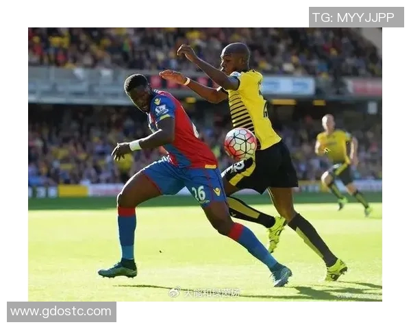 重庆排球队边路渗透战术解析与比赛表现的深度剖析