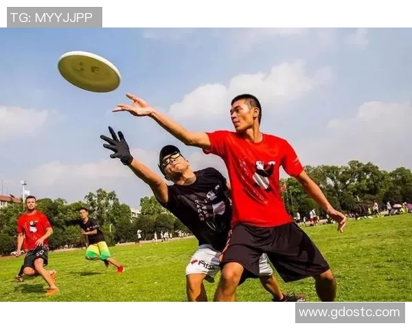 飞盘竞技新视角：深入剖析杭州飞盘队员的个人能力与团队协作