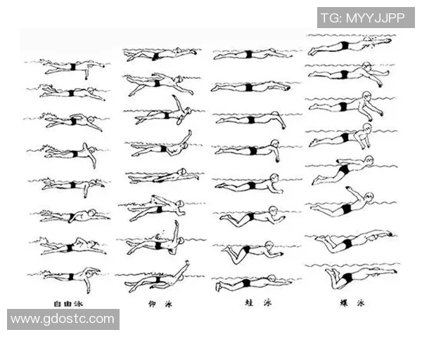 以游泳比赛时间为核心,探讨不同泳姿对比赛成绩的影响及训练方法优化