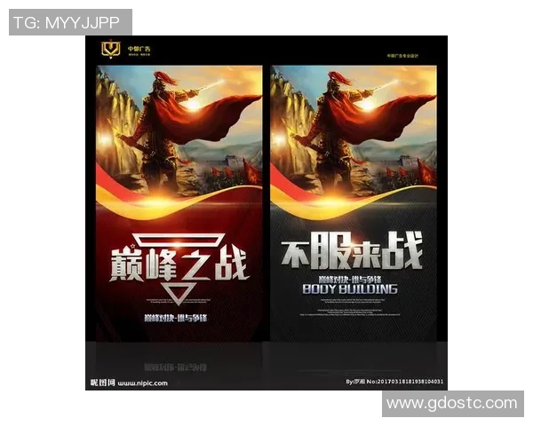 冠军荣耀之路：从挑战到巅峰的奋斗与坚持